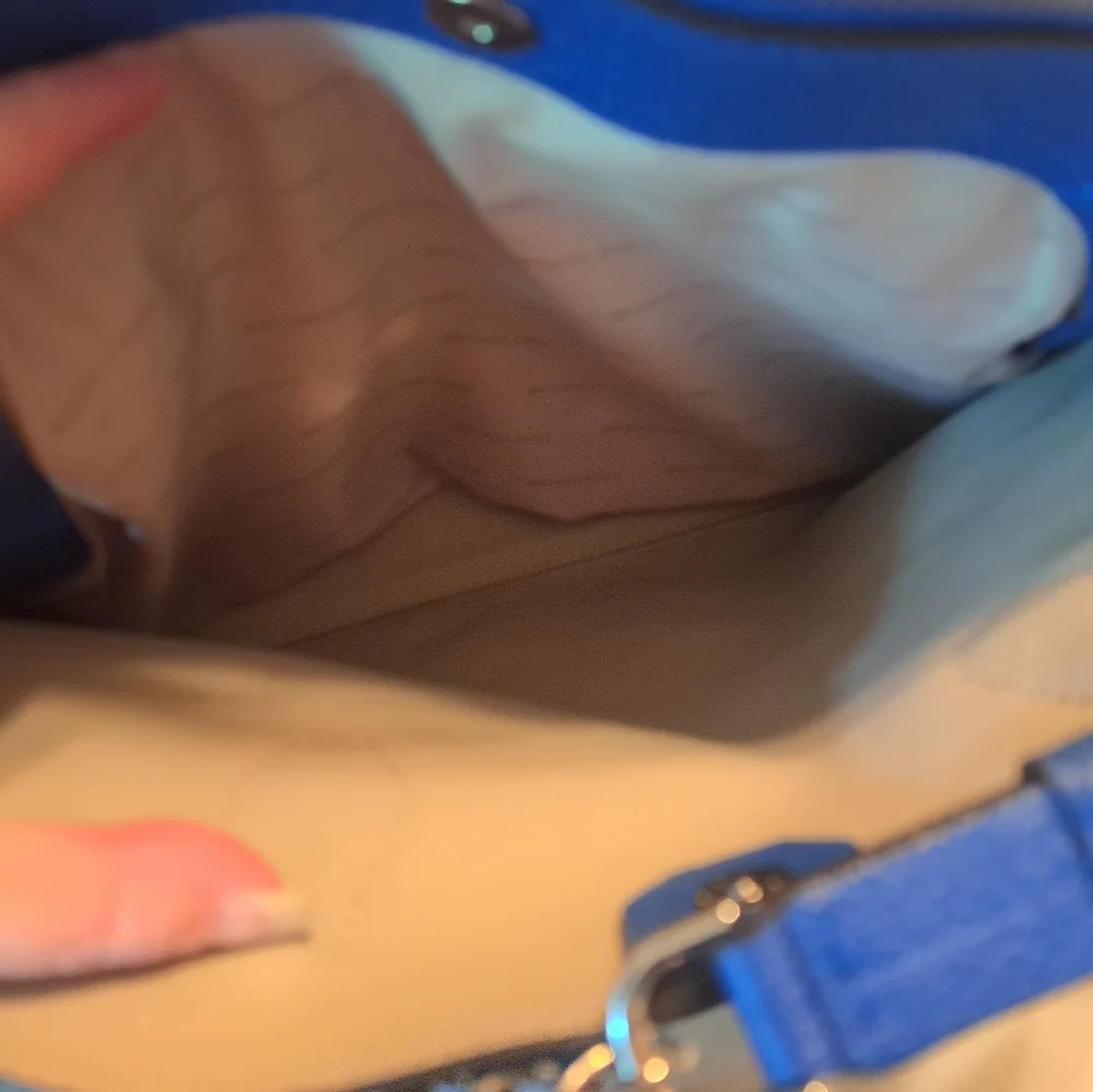 Michael Kors Blue Bag